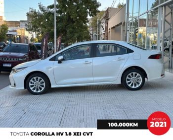 WhatsApp Image 2026-04-10 at 12.44.09 PM (2)