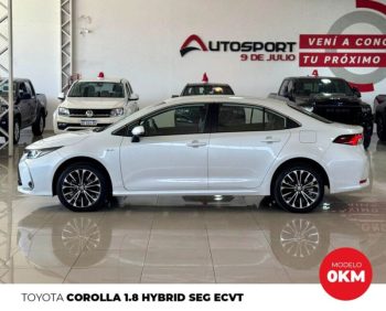 WhatsApp Image 2026-01-07 at 3.15.40 PM (2)